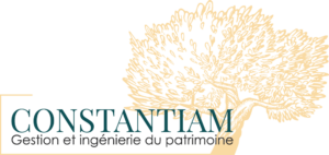Logo Constantiam