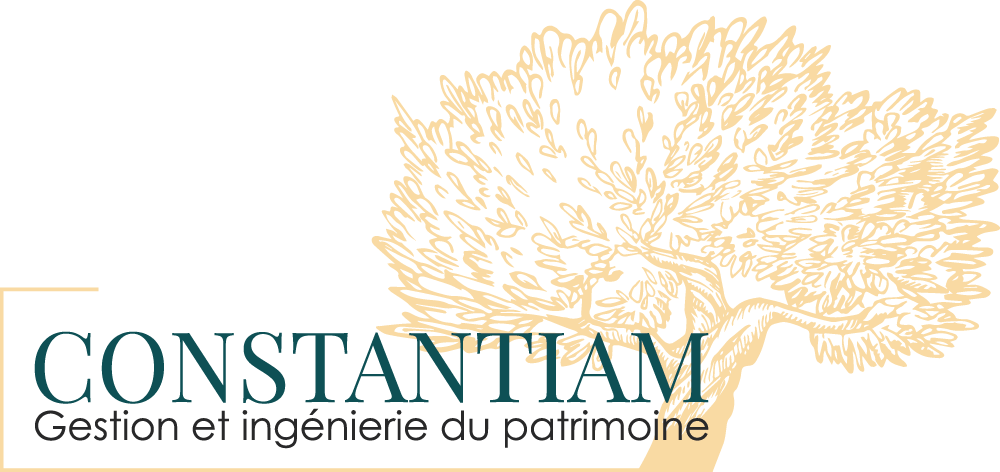 Logo Constantiam